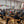 Conférence de méditation bouddhiste avec drapeaux tibétains et public attentif