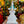 Stupa bouddhiste tibétain blanc orné de pierres rouges et bleues, symbole de la philosophie bouddhiste