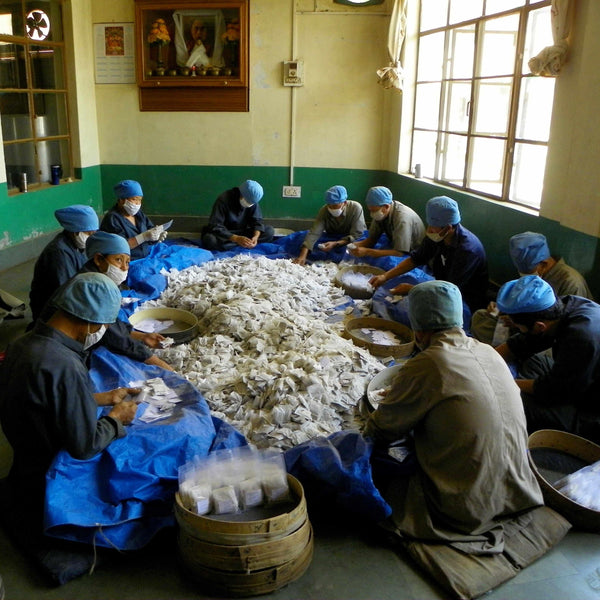Préparation artisanale de remèdes de médecine tibétaine par des artisans en tenue stérile, dans un atelier traditionnel.