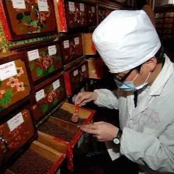 Préparation de remèdes tibétains naturels par un praticien en tenue médicale, avec boîtes décorées
